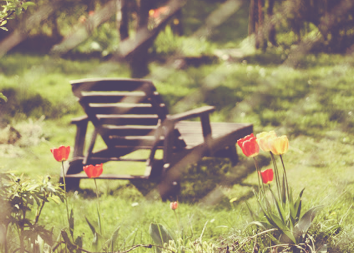 How to Improve Memory – Silva's Chat with Costas