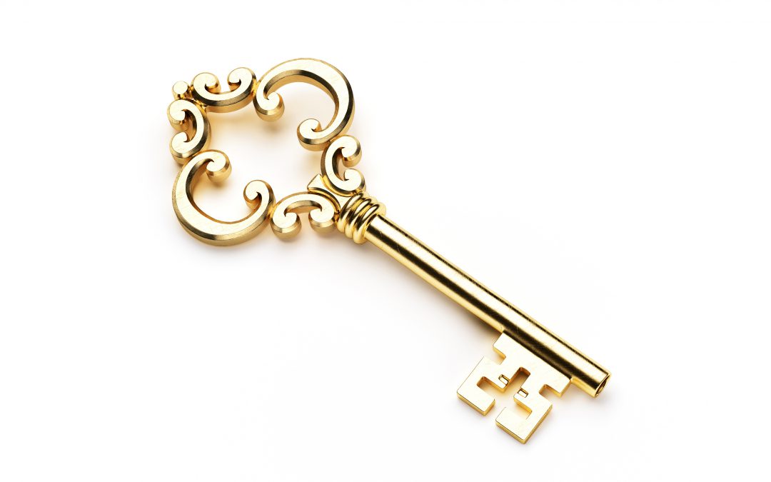 Key discovered to help make programming work better